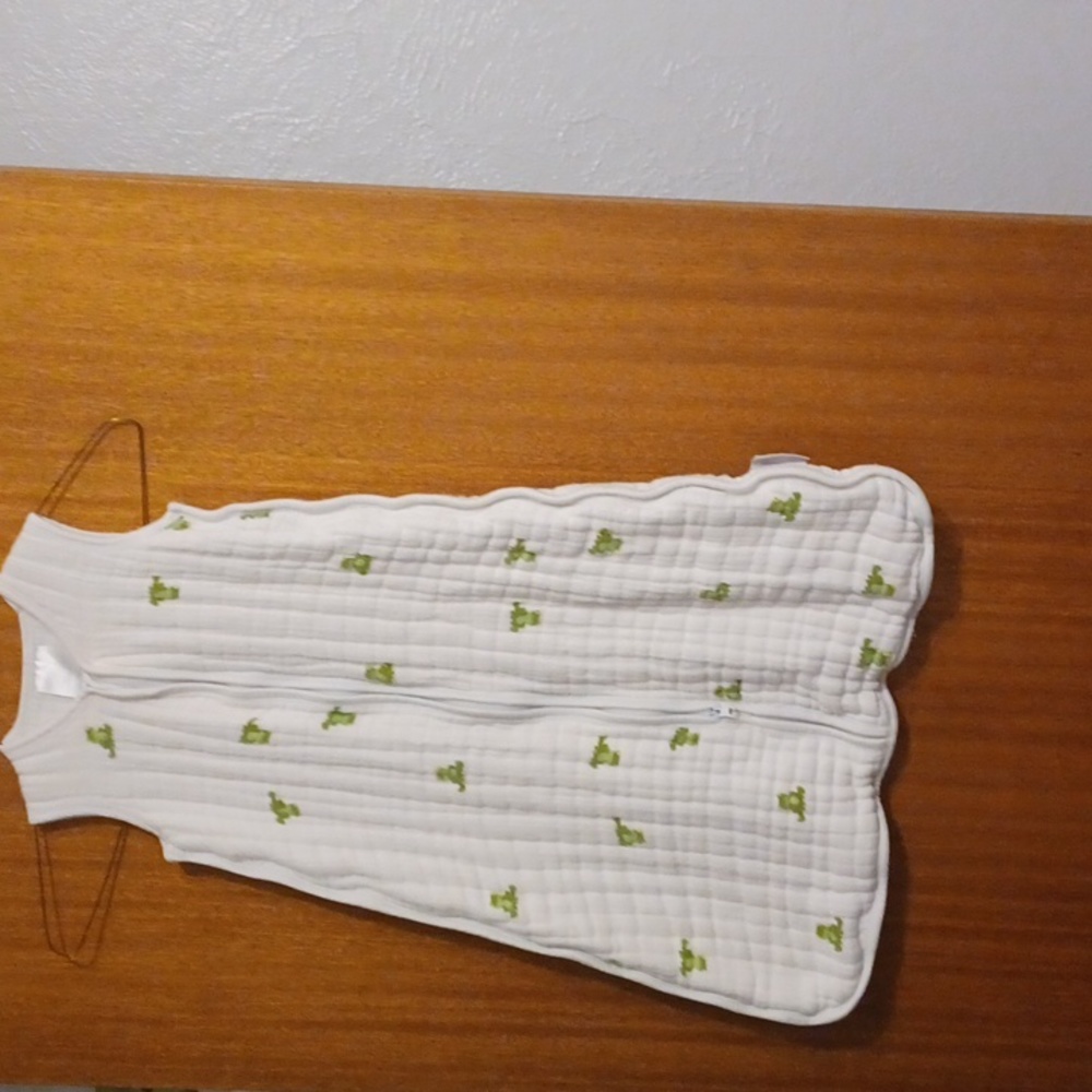 Aden + Anais Frog Sleep Sack